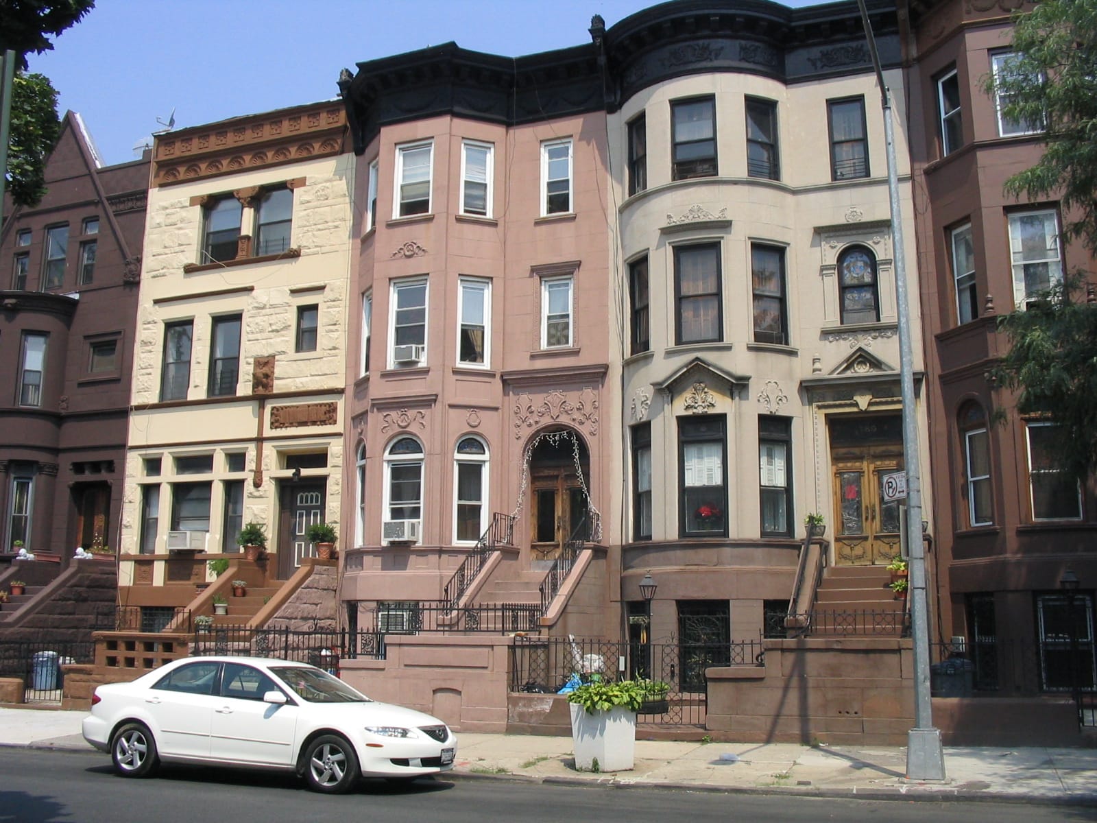 Bedford-Stuyvesant Field Report