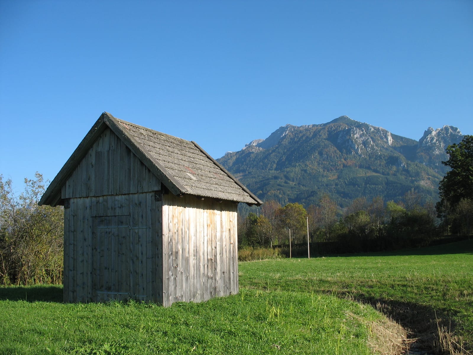 The Shed: The Building That Moves, and Whether It's Worth Your Night